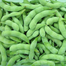 Frozen Edamame Soybeans in pod